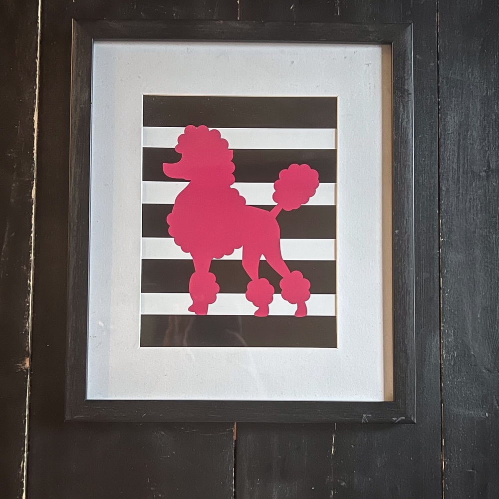 Poodle Picture